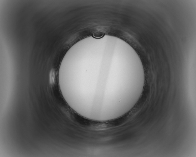 X0000086310075200704202010