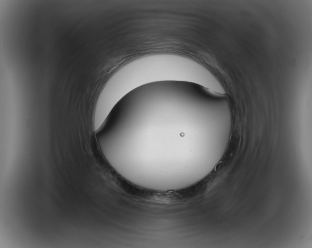 X0000086310076200704202010