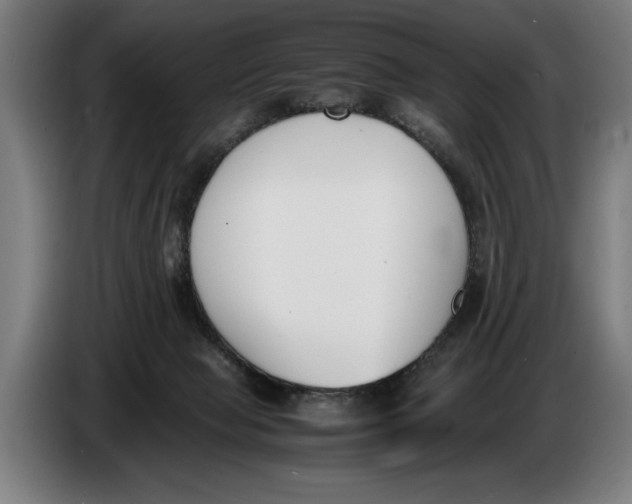 X0000086310077200704202010