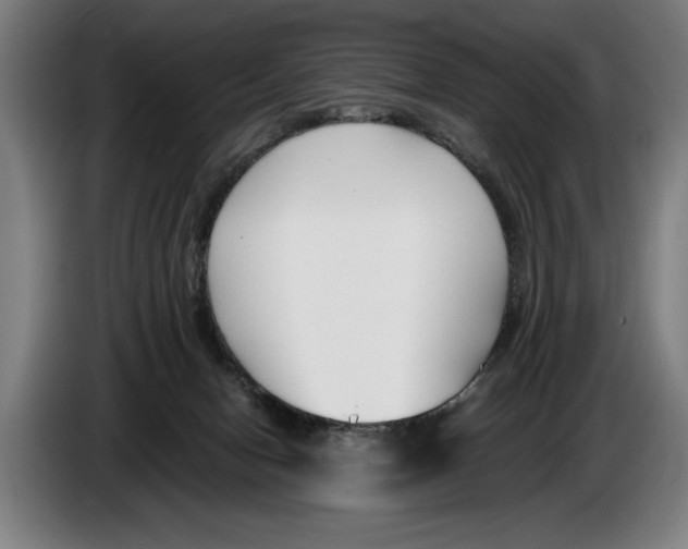 X0000086310078200704202010