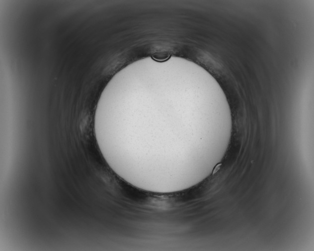 X0000086310079200704202010