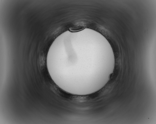 X0000086310081200704202010