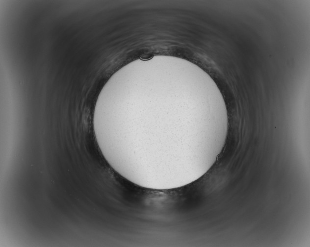 X0000086310083200704202011