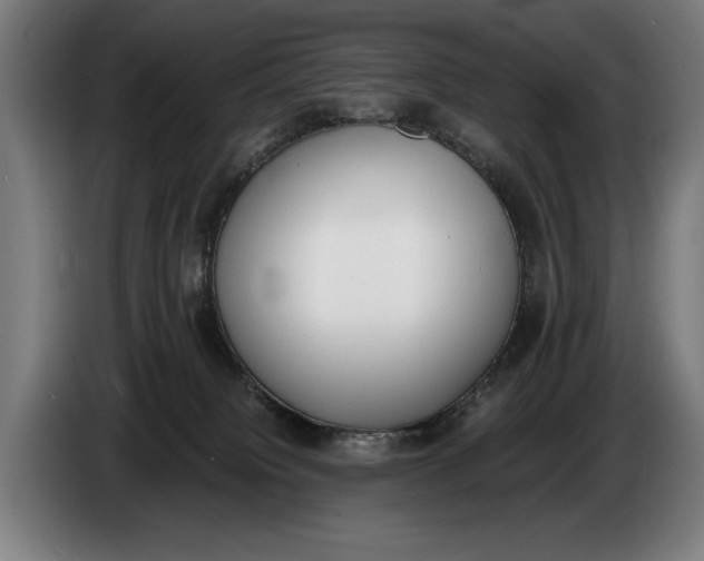 X0000086310084200704202011