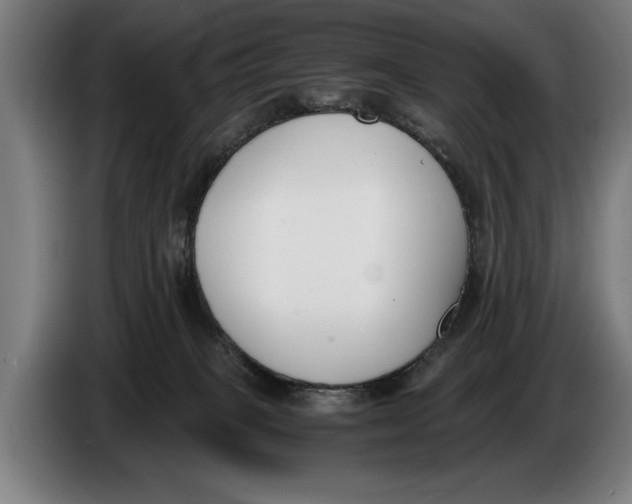 X0000086310085200704202011