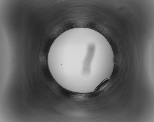 X0000086310086200704202011