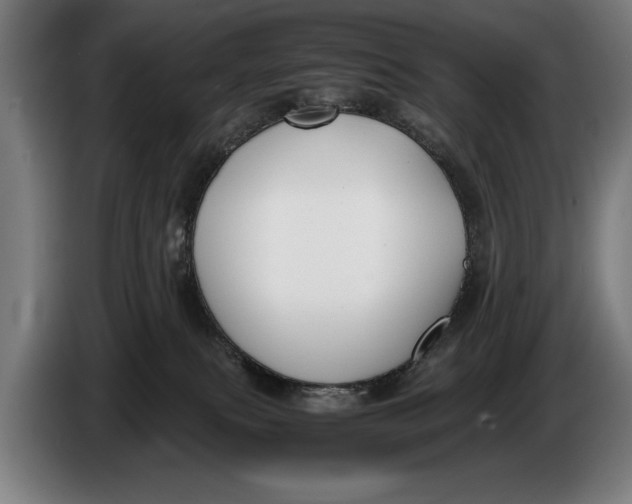 X0000086310087200704202011