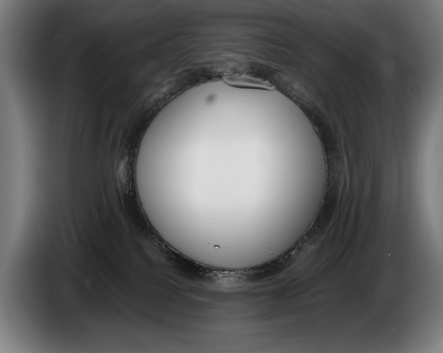 X0000086310088200704202011