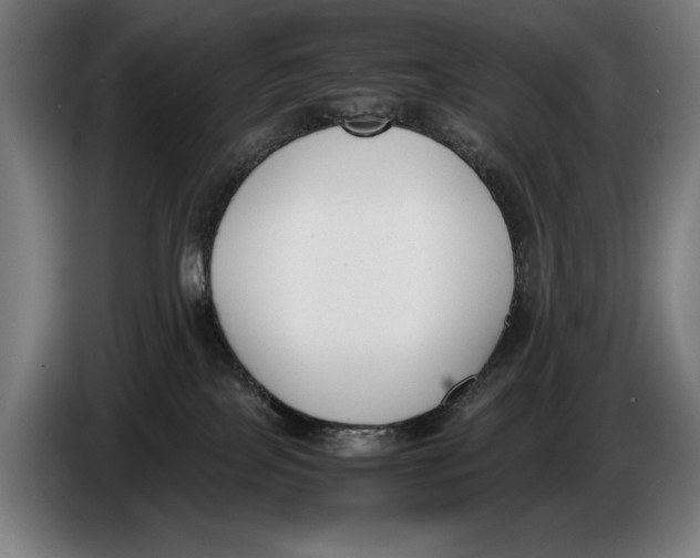 X0000086310089200704202011