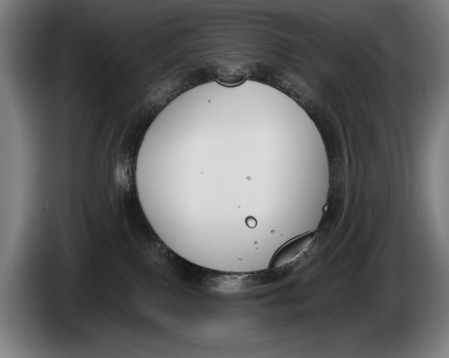 X0000086310090200704202011