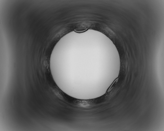 X0000086310091200704202011