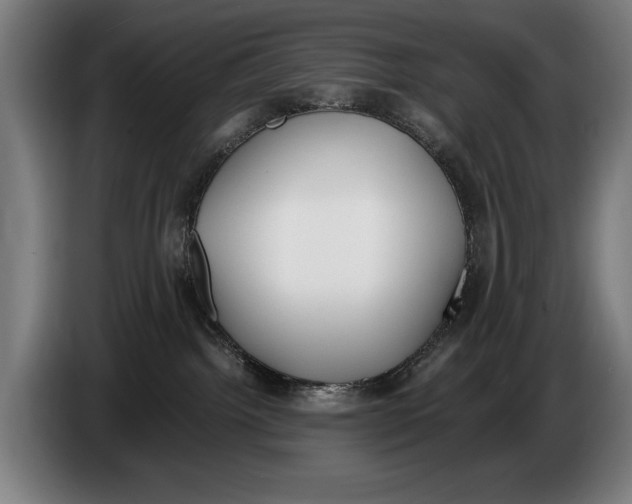 X0000086310092200704202011