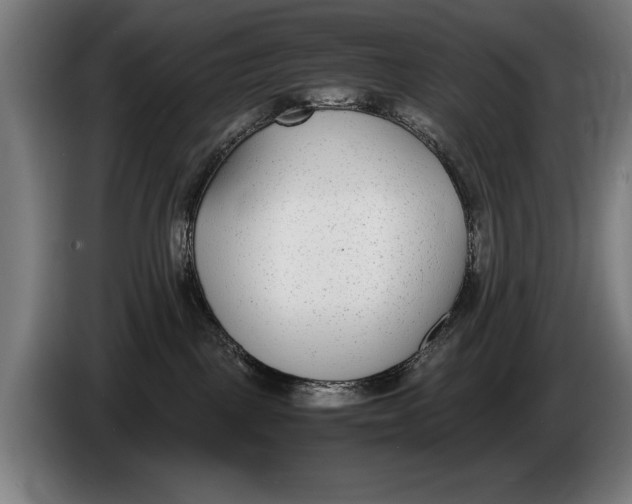 X0000086310093200704202011