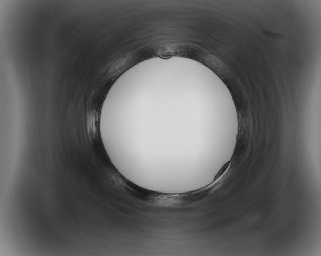 X0000086310094200704202011