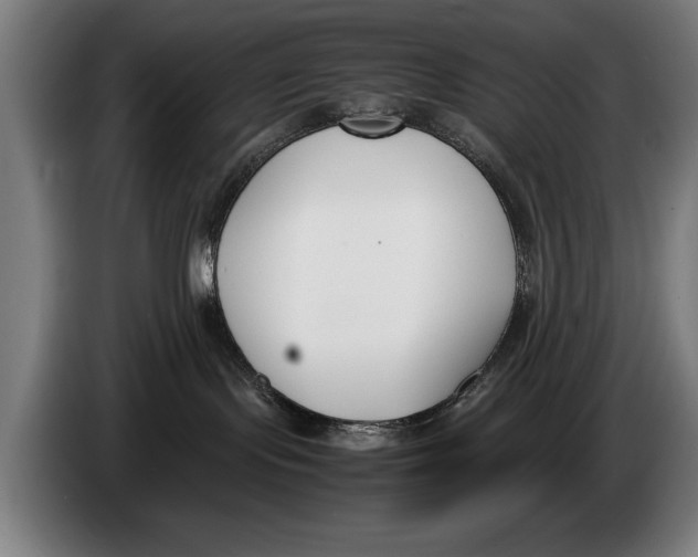 X0000086310095200704202011