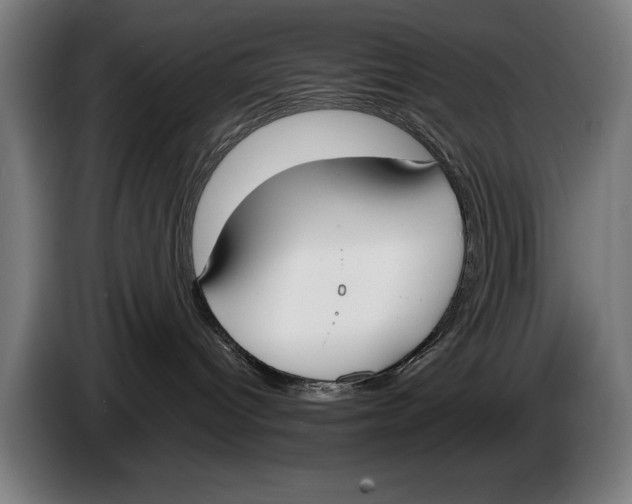 X0000086310096200704202011