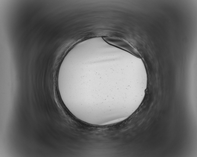 X0000086310097200704202010