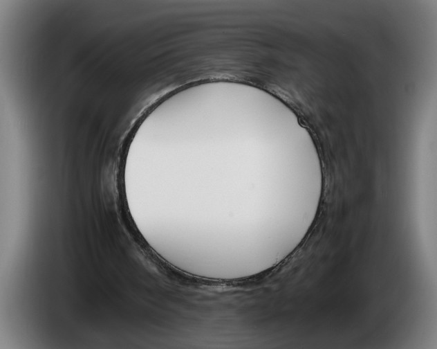 X0000086310098200704202010