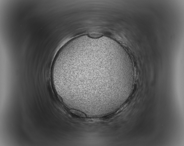 X0000086310099200704202010