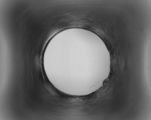 X0000086310100200704202010