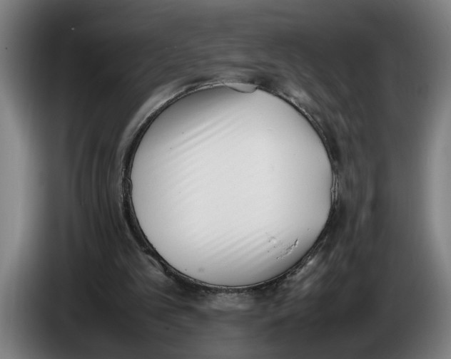 X0000086310101200704202010