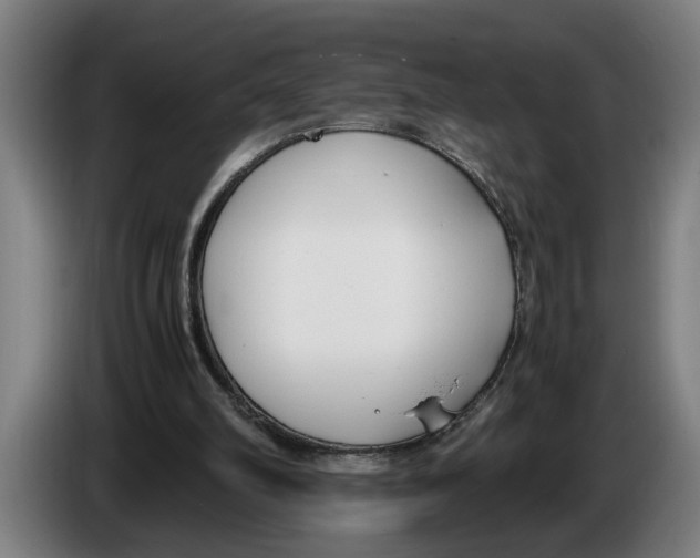 X0000086310102200704202010