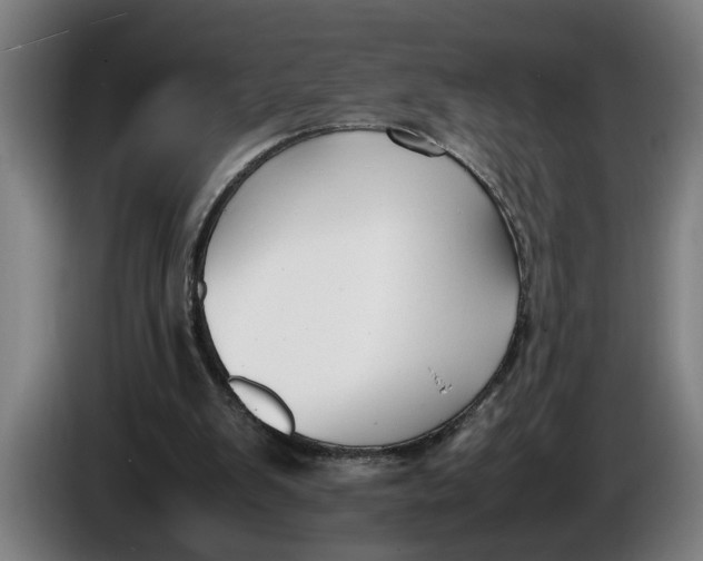 X0000086310103200704202010