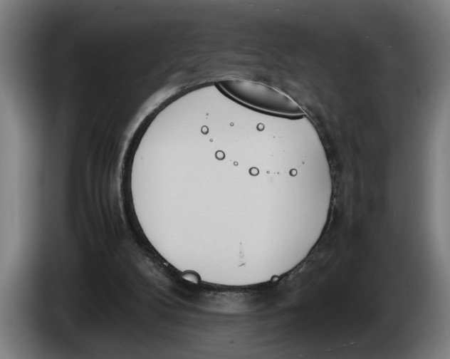 X0000086310104200704202010