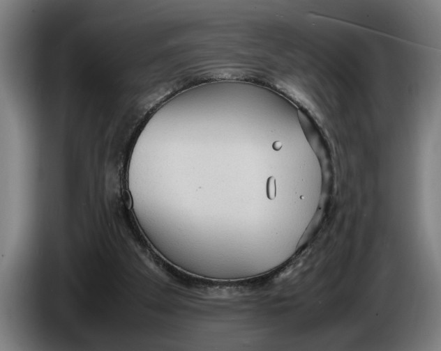 X0000086310105200704202010