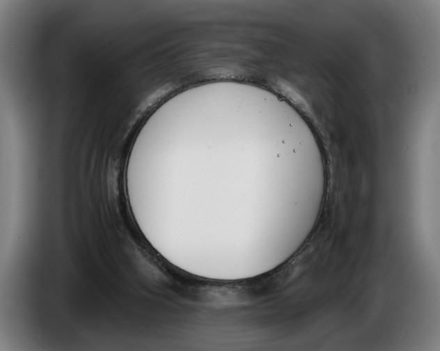 X0000086310106200704202010