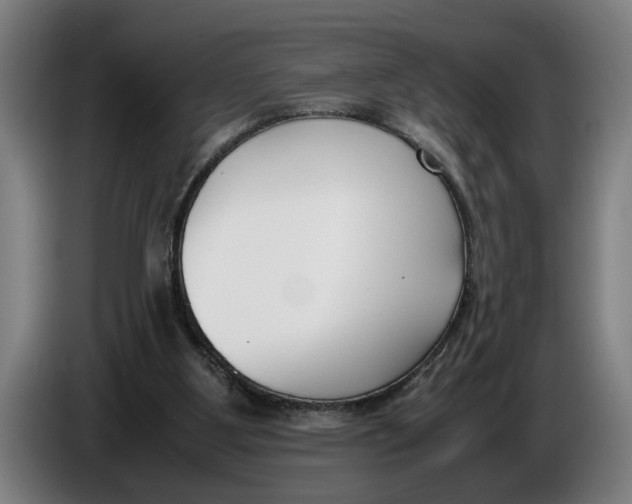 X0000086310107200704202010