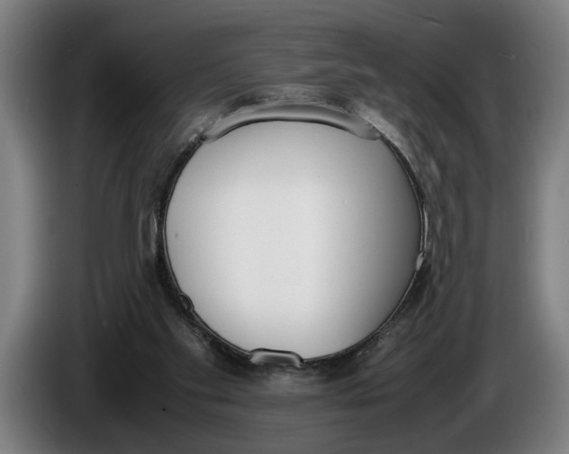 X0000086310109200704202010