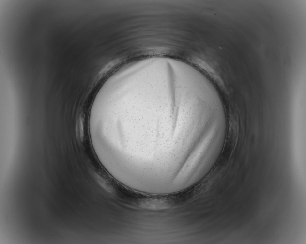 X0000086310110200704202010