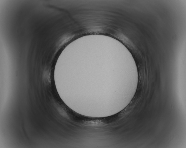 X0000086310112200704202010