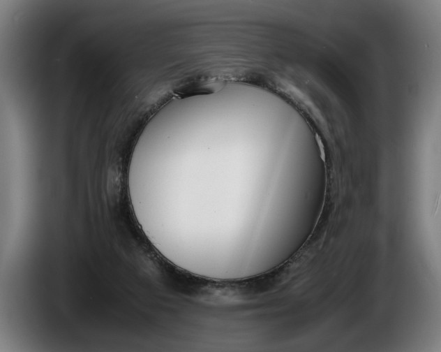 X0000086310113200704202010