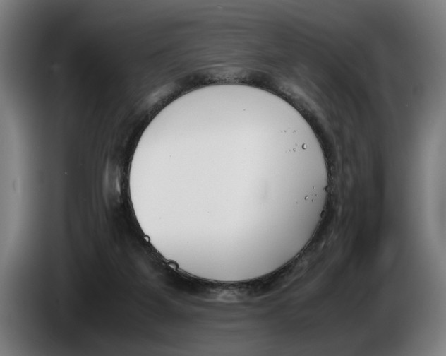 X0000086310115200704202010