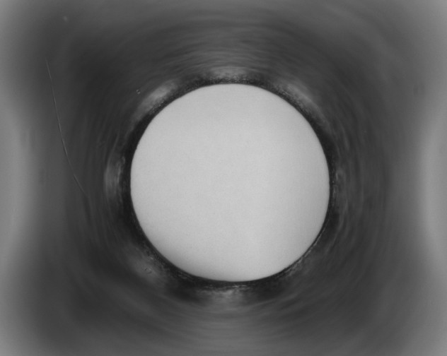 X0000086310116200704202010