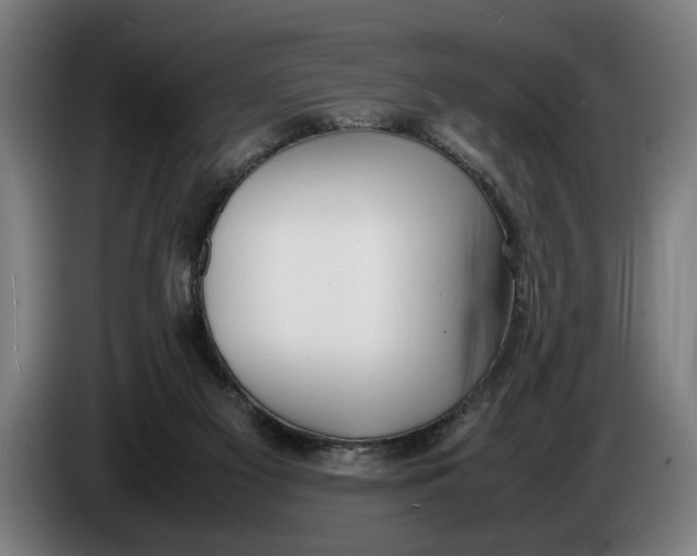 X0000086310117200704202010