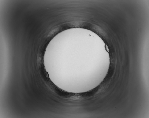 X0000086310119200704202010