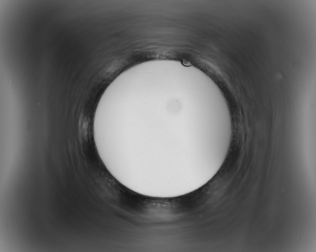 X0000086310123200704202010