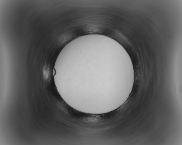 X0000086310124200704202010