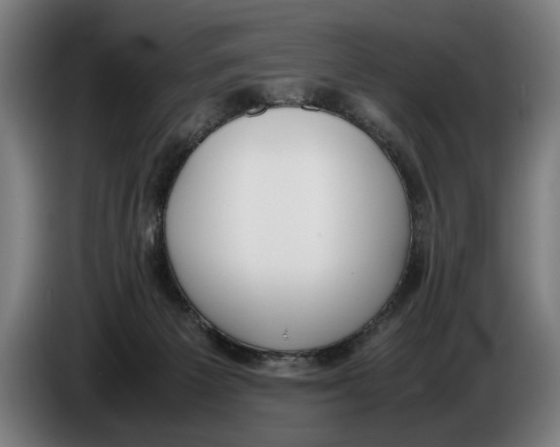 X0000086310125200704202010