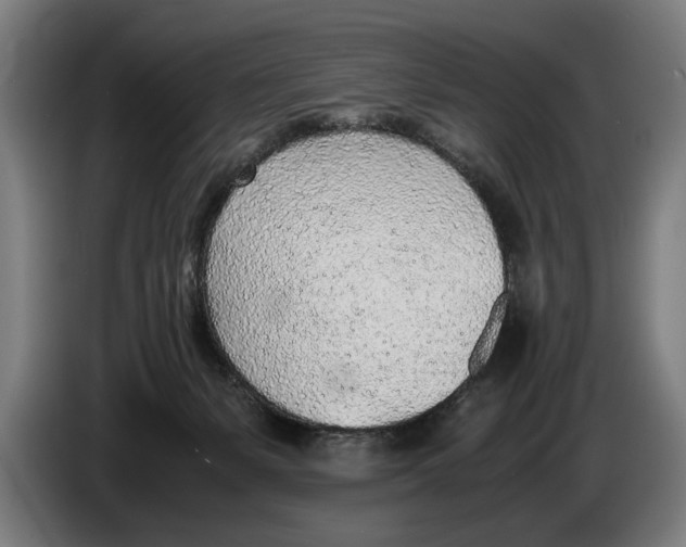 X0000086310127200704202010