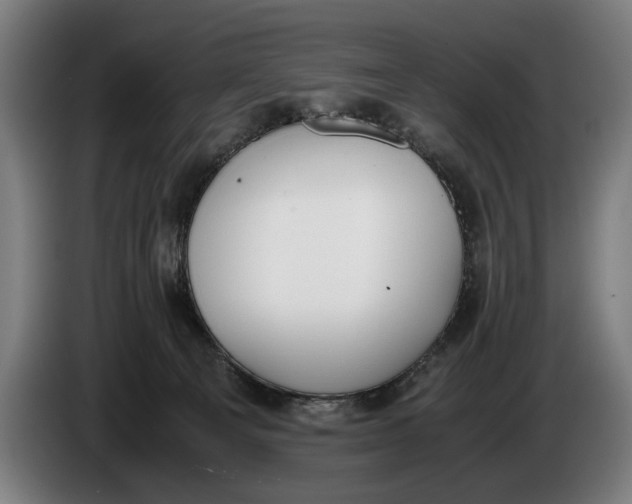 X0000086310129200704202010