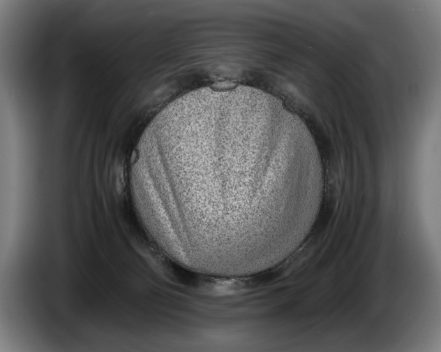 X0000086310130200704202010