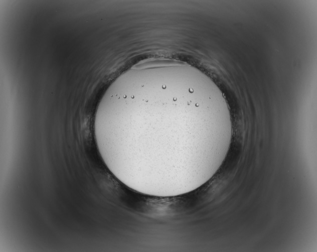 X0000086310131200704202010