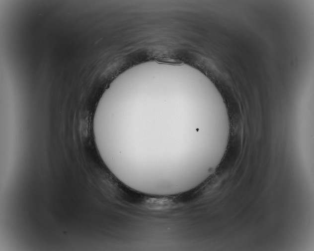 X0000086310133200704202010