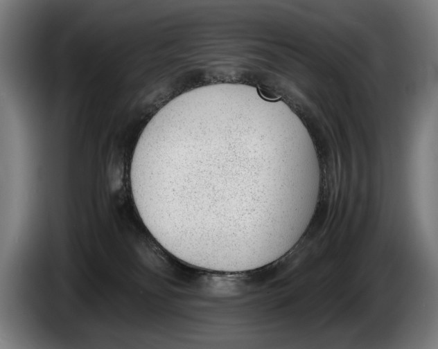 X0000086310134200704202010