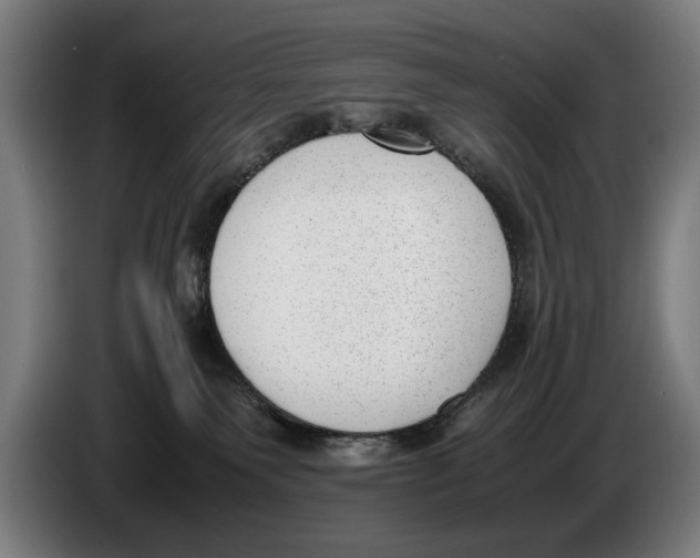 X0000086310135200704202010