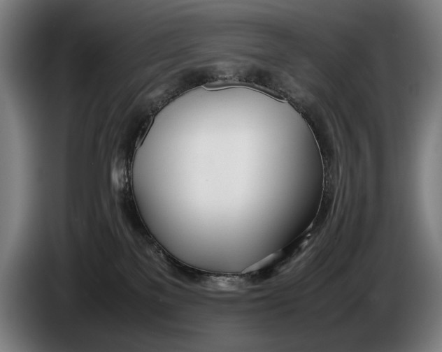 X0000086310137200704202010